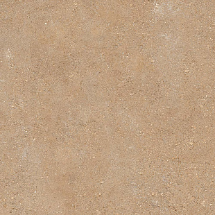 Duo Back Caramel AS 2.0