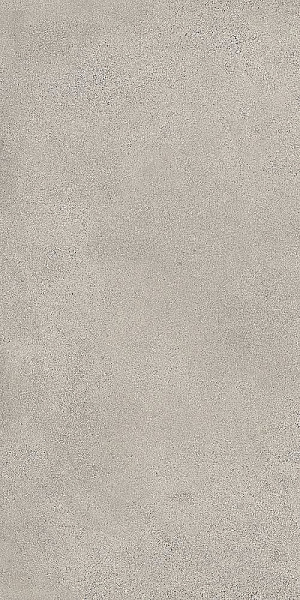 Керамогранит Сан Агостино / SANT AGOSTINO Экстра / EXTRA 120x278 LOGICO Logico Cement Nat