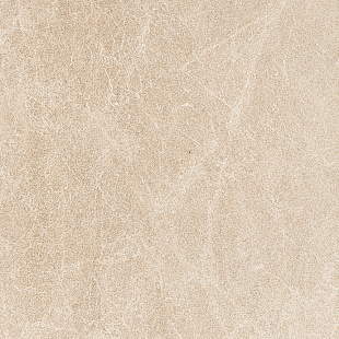 Oriental Beige 6060  NAT