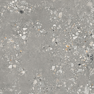 Cosmo Grey NAT Cosmo Grey NAT