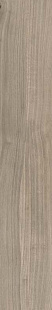 Taupe AS Taupe AS