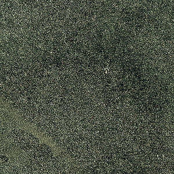 Керамогранит Сан Агостино / SANT AGOSTINO Пиксель / PIXEL 10x10 Pixel Forest Luc