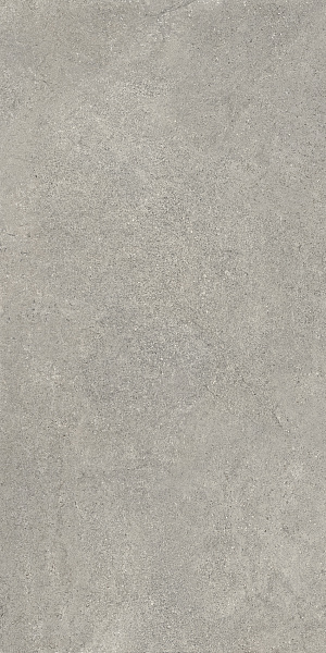 Керамогранит Сан Агостино / SANT AGOSTINO Экстра / EXTRA 120x278 Бергстоун Серый / Bergstone Grey