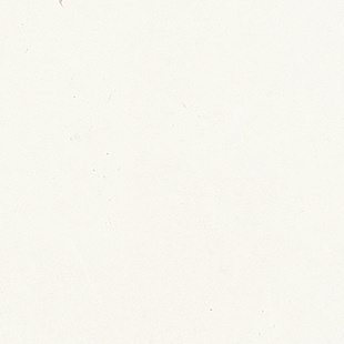 Пиксель Белый Луц / Pixel White Luc