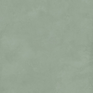 Шалфей / Sage