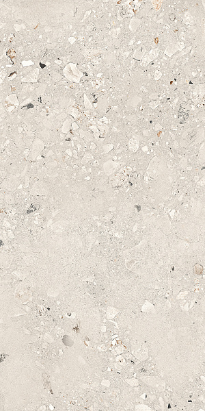 Керамогранит Сан Агостино / SANT AGOSTINO Логичный / LOGICO 60x120 Cosmo Pearl  NAT